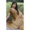 Multi Color Tissue Silk Resham Work Wedding Wear Plus Size Saree - 10616195060