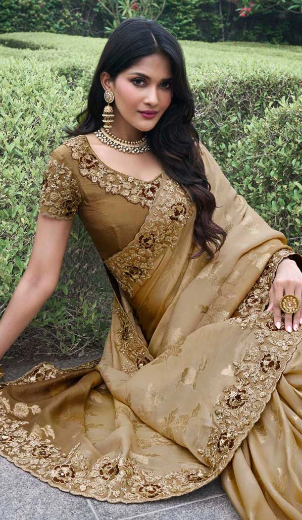 Multi Color Tissue Silk Resham Work Wedding Wear Saree - 10616195060