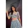 Turquoise Blue Net Embroidery Work Wedding Wear Plus Size Lehenga Choli - 10892196882