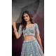 Turquoise Blue Net Embroidery Work Wedding Wear Lehenga Choli - 10892196882
