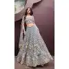 Turquoise Blue Net Embroidery Work Wedding Wear Plus Size Lehenga Choli - 10892196882