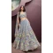 Turquoise Blue Net Embroidery Work Wedding Wear Lehenga Choli - 10892196882
