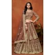 Brown Net Zari Work Wedding Wear Designer Lehenga Choli - 10989197803