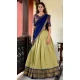 Pista Green Kanchipuram Weaving Work Traditional Wear Lehenga Choli - 11069198567
