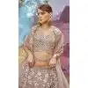 Beige Organza Sequins Work Wedding Wear Plus Size Lehenga Choli - 11072198586