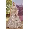 Beige Organza Sequins Work Wedding Wear Plus Size Lehenga Choli - 11072198586