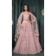 Dusty Pink Net Embroidered Designer Wear Lehenga Choli - 11104198850