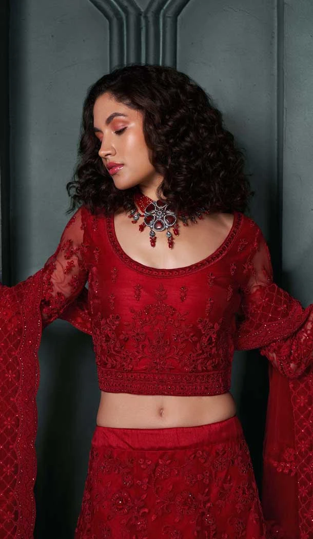Red Net Embroidered Designer Wear Lehenga Choli - 11104198852