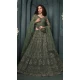 Mehendi Green Net Embroidered Designer Wear Lehenga Choli - 11104198853
