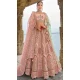 Light Pink Silk Embroidered Wedding Wear Designer Bridal Lehenga Choli - 11103198837
