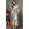 Beige Banarasi Tissue Silk Zari Work Party Wear Plus Size Saree - 11260199949