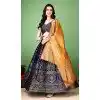 Multi Color Silk Jacquard Work Casual Party Wear Plus Size Lehenga Choli  - 11564201701