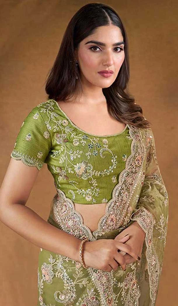 Pista Green Net Stone Work Wedding Wear Saree - 11601202077