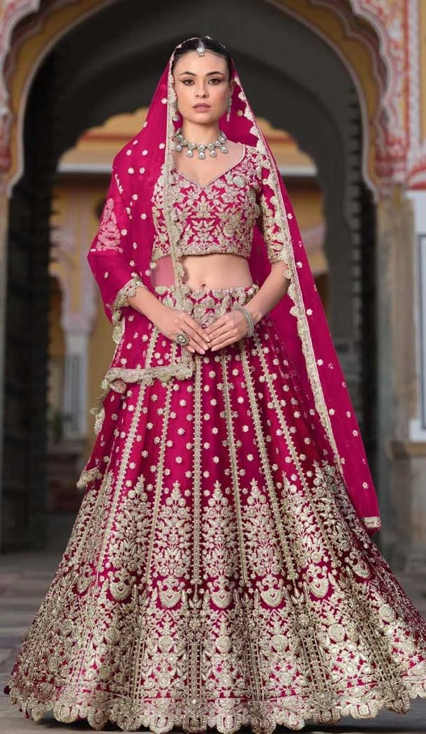 Rani Pink Butterfly Net Sequins Work Designer Lehenga Choli - 11829203483