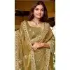 Fendi Chiffon Embroidered Party Wear Plus Size Saree In Mehendi Green - 11831203493