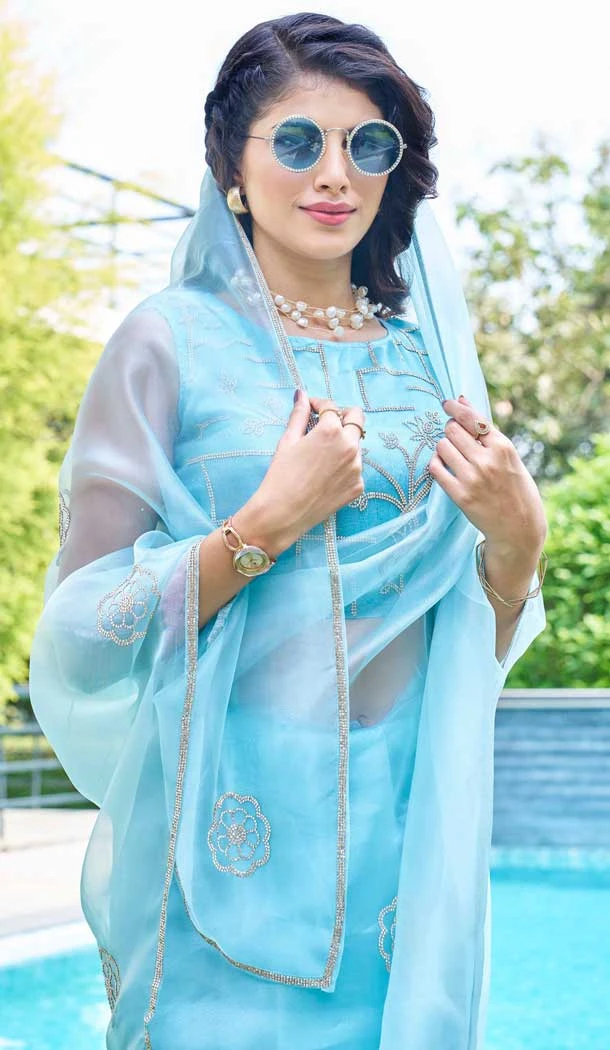 Sky Blue Organza Hand Work Party Wear Saree - 11926203966
