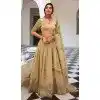 Women Beige Party Lehenga Choli Gold Crush Embroidery Plus Size