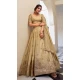 Women Beige Party Lehenga Choli Gold Crush Embroidery - 12197206415 Women Beige Party Lehenga Choli Gold Crush Embroidery - 12197206415