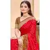 Women Pochampalli Silk Traditional Wear Saree Jacquard Red Plus Size