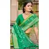 Women Traditional Wear Saree Jacquard Light Green Pochampalli Silk Plus Size