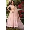 Women Light Pink Party Wear Lehenga Choli Gold Crush Silk Embroidery Work Plus Size