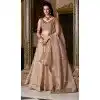 Women Party Wear Lehenga Choli Chiku Gold Crush Silk Embroidery Work Plus Size