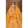 Order Mustard Soft Net Plus Size Lehenga Choli – FH214178