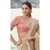 Buy Chiku Pure Tissue Embroidery Saree Plus Size Online – 214771