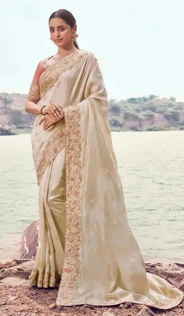 Chiku Pure Tissue Saree with Beautiful Embroidery Work – 214771