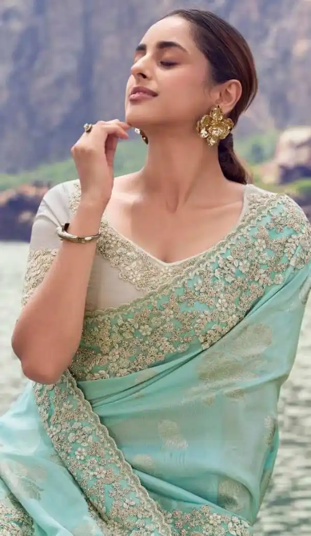 Sky Blue Pure Tissue Embroidered Designer Saree – 214778