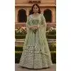 Pista Green Butterfly Net Plus Size Party Wear Lehenga Choli – 215236