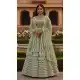 Pista Green Butterfly Net Embroidery Lehenga Choli – 215236