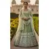 Pista Green Butterfly Net Plus Size Party Wear Lehenga Choli – 215236