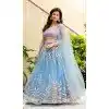 Shop Sky Blue Net Zari Embroidery Lehenga Choli Plus Size - 215511