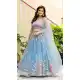 Sky Blue Net Zari Lehenga Choli - 215510