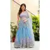 Shop Sky Blue Net Zari Embroidery Lehenga Choli Plus Size - 215511