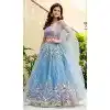 Shop Sky Blue Net Zari Embroidery Lehenga Choli Plus Size - 215511