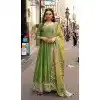 Shop Pista Green Silk Embroidered Plus Size Gown - 216113