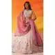 Embroidered Beige Tissue Designer Lehenga Choli – 216693