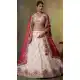 Tissue Lehenga Choli in Beige with Designer Embroidery – 216694