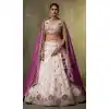 Shop Beige Designer Lehenga Choli in Tissue for Plus Size - 216695