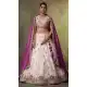 Beige Embroidered Tissue Lehenga Choli Designer Style – 216695
