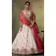 Designer Lehenga Choli Beige Tissue Embroidery Work – 216696