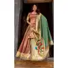 Shop Peach Pink Organza Plus Size Lehenga Choli - 218833