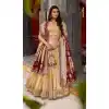 Buy Cream Organza Zari Work Lehenga Plus Size - 218834