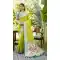 Parrot Green Soft Silk Paithani Work Saree - 219599