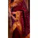 Maroon Soft Silk Designer Party Wear Saree with Zari Work - 219652
