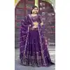 Exclusive Plus Size Lehenga Choli Sangeet for Women - 219909