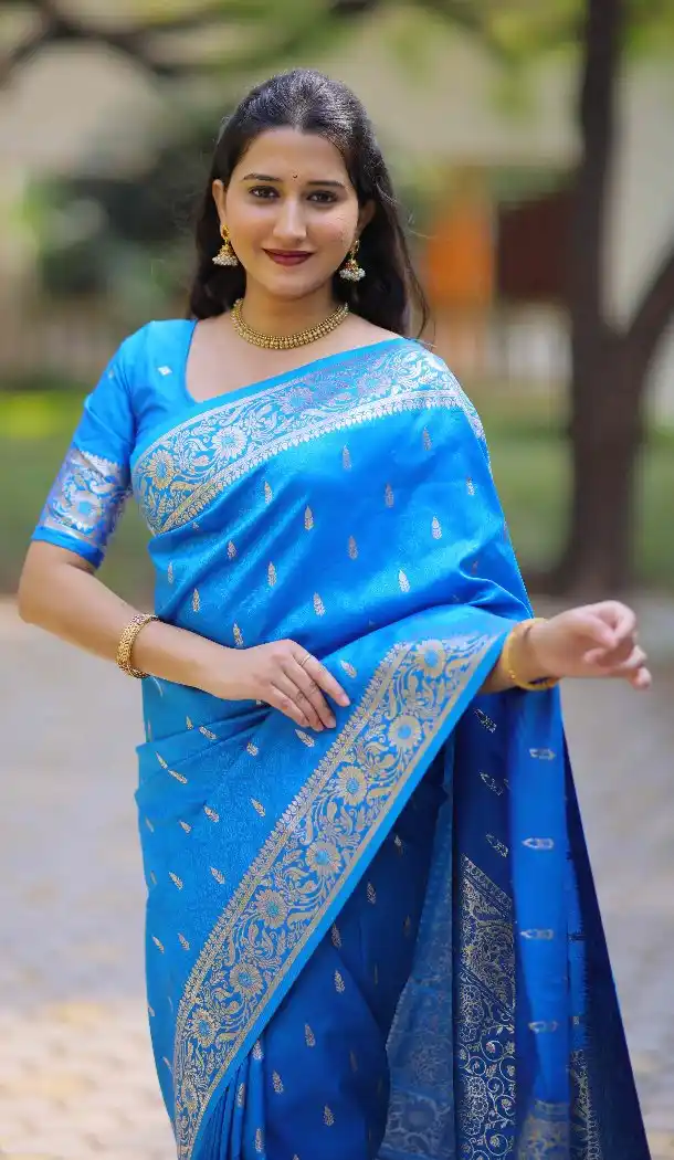 Firozi Blue Pure Banarasi Silk Traditional Saree - 220106