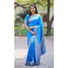 Wedding Ready Plus Size Sarees Sangeet for Curvy Women - 220106